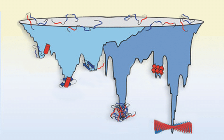 Protein Homeostasis: Its Role in Ageing and Disease