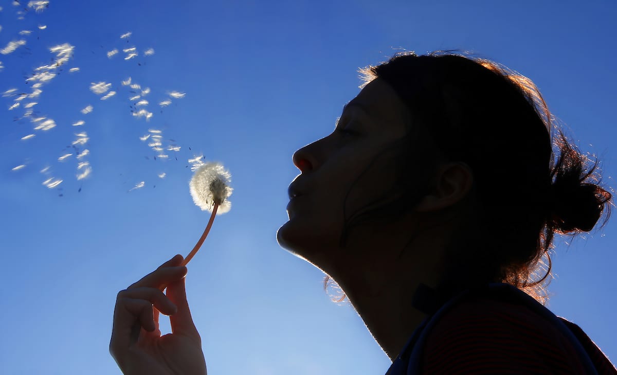 An Interrupted Life: Childhood Trauma and Its Consequences