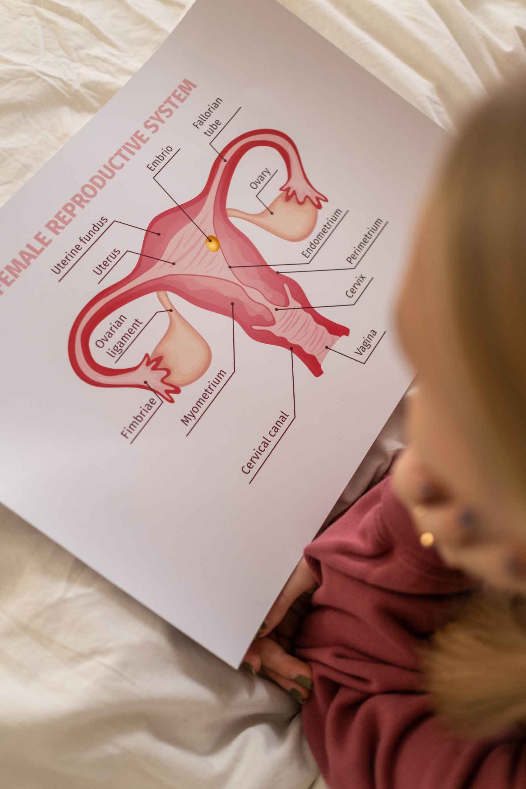 Uterine Fibroids: Causes, Symptoms and Treatment