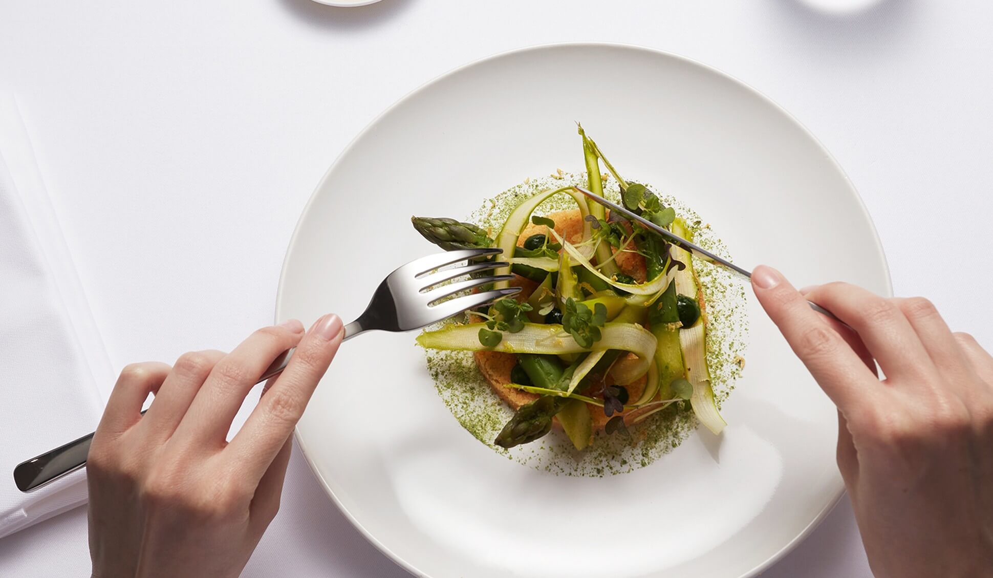 nescens gastronomy plate