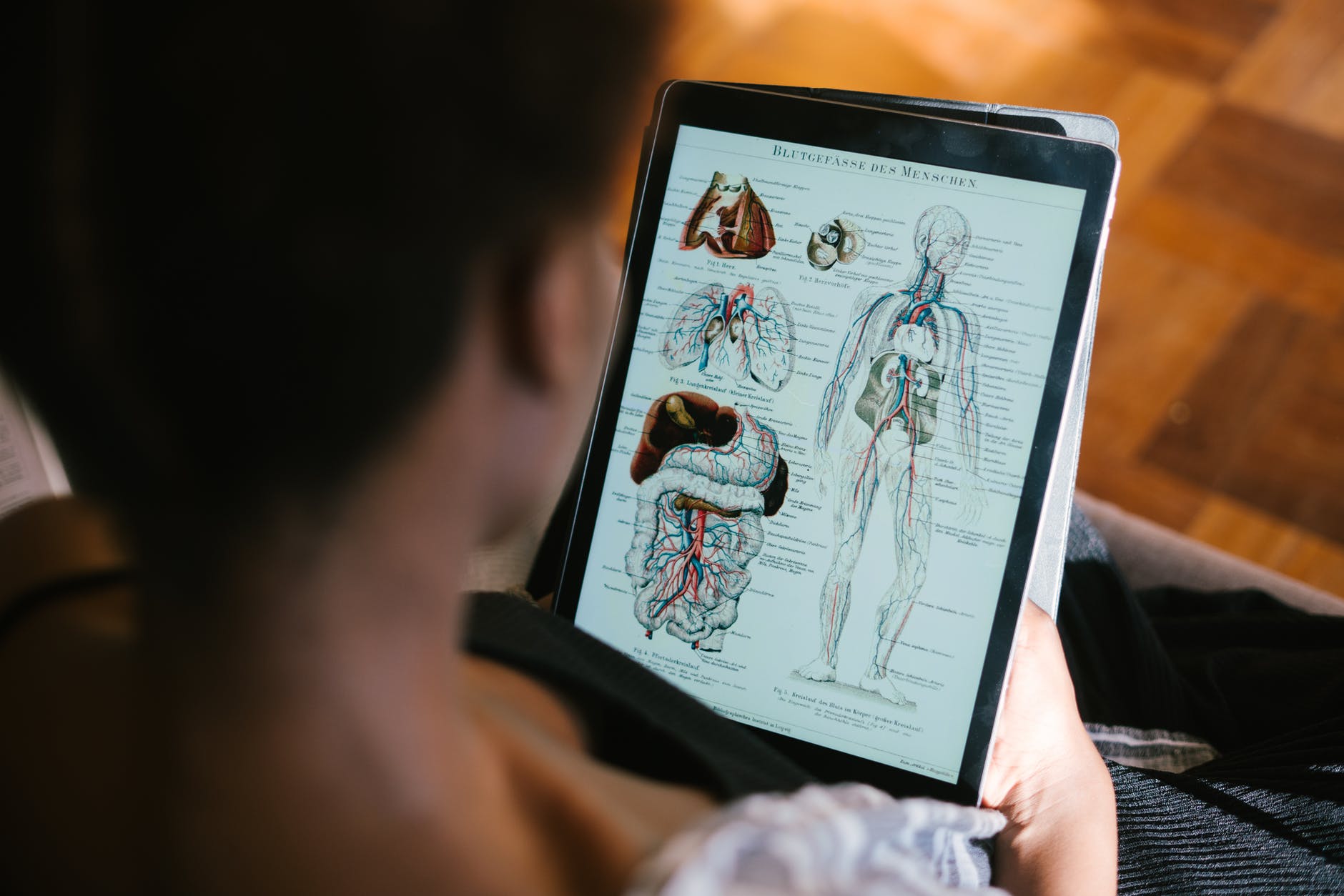 Angiology as a Science: What Does an Angiologist Do?