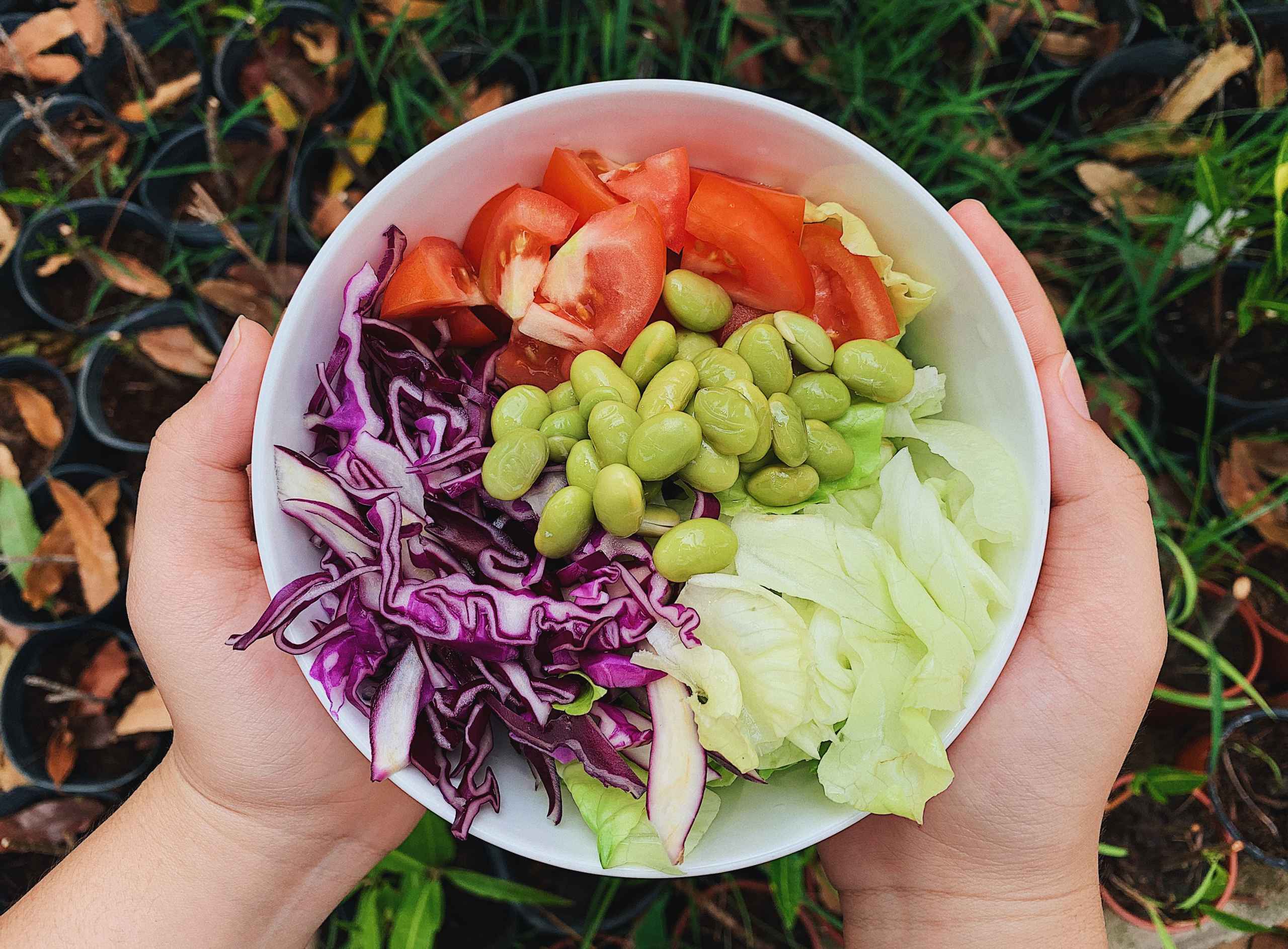 Diet for Gastritis: What Can You Eat?
