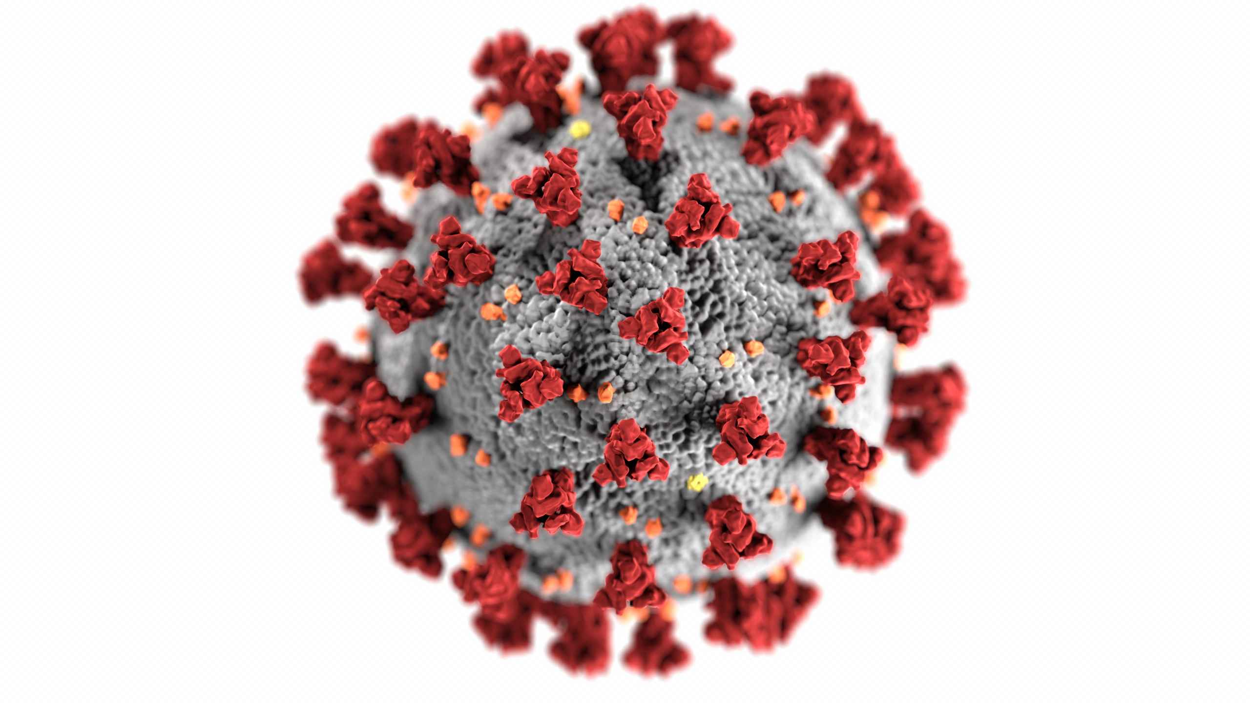 Facts About Human Papillomavirus (HPV)
