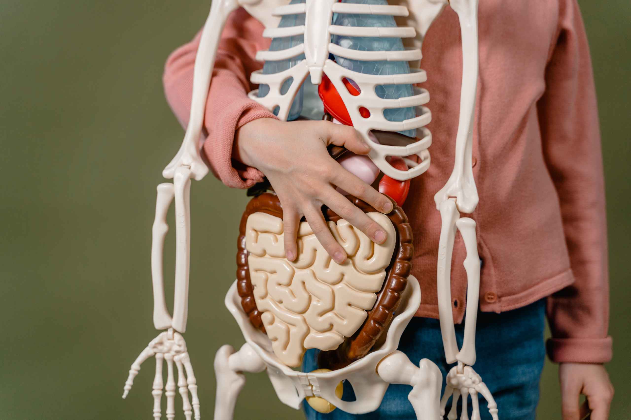 Why Have a Gastroscopy?